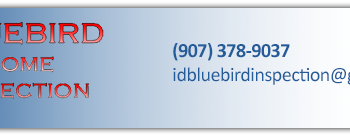 Bluebird-Home-Inspection