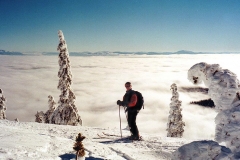 Schweitzer-Andy3