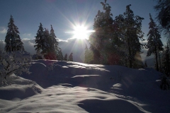 Spring2008BigSnow-023---Kris-Kingsland